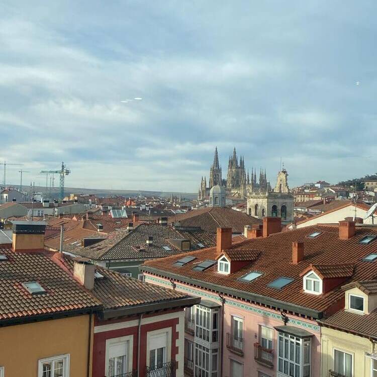 Foto de perfil de Lu