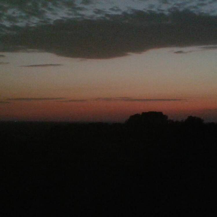 Foto de perfil de FENIX