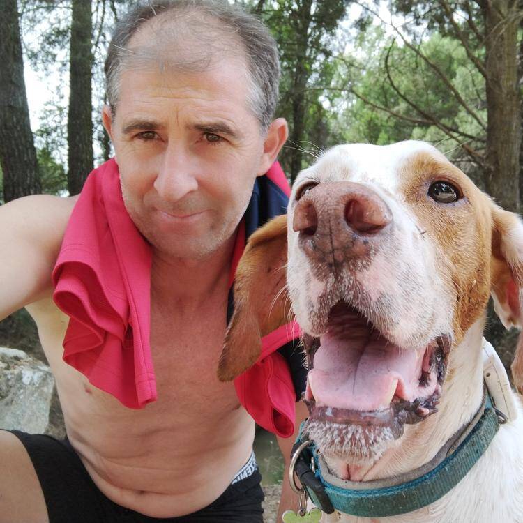 Foto de perfil de Alfonso