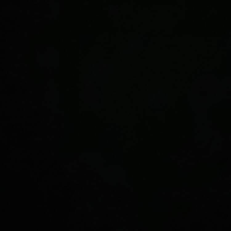 Foto de perfil de Pedro
