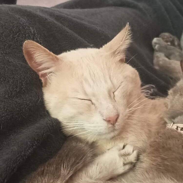 Foto de perfil de Sergio