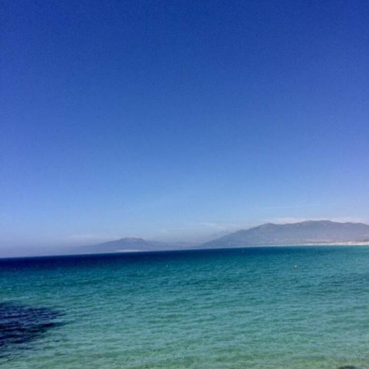 Foto de perfil de alfonso