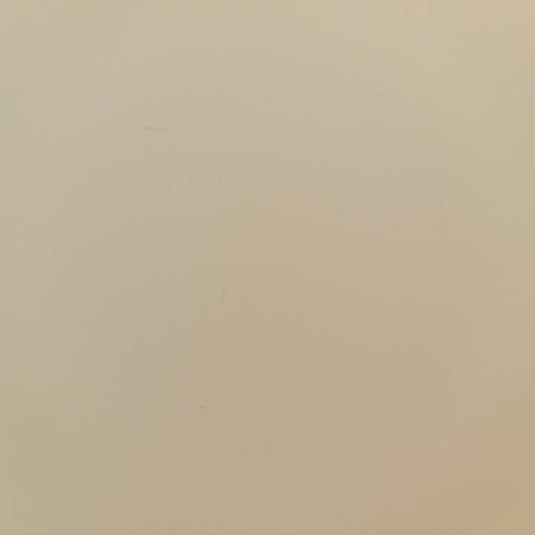 Foto de perfil de Pepe