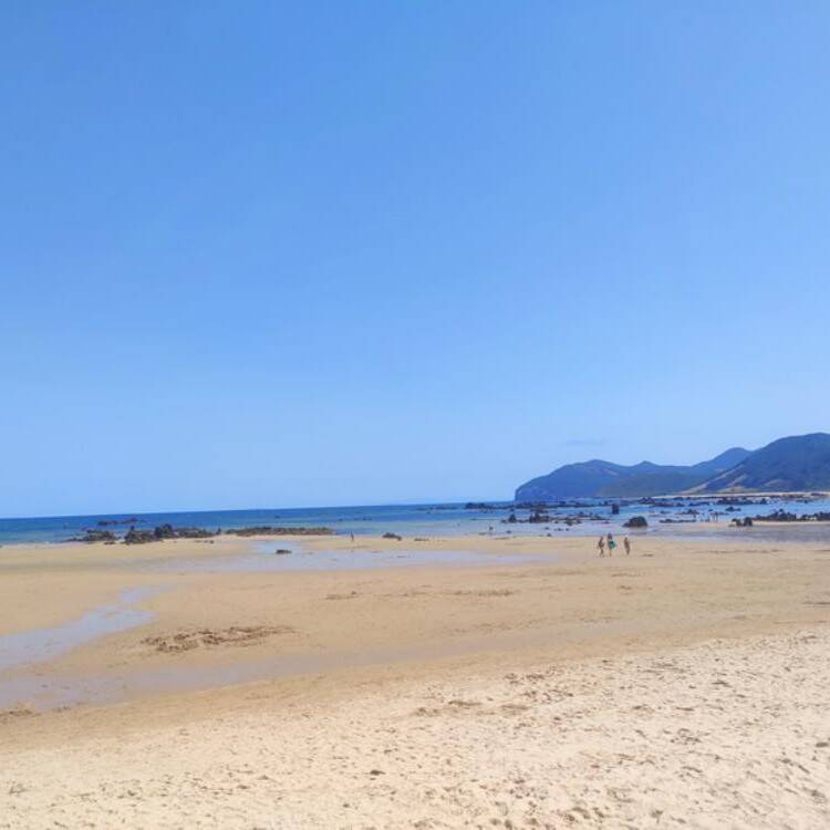 Foto de perfil de Helena