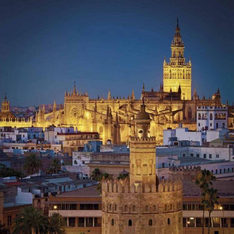Foto de perfil de Montse