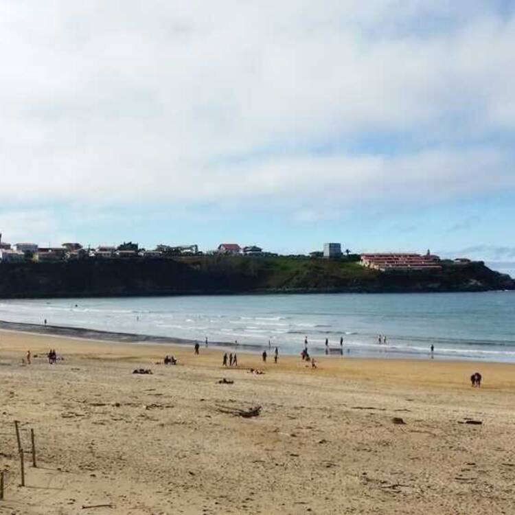 Foto de perfil de Marieli
