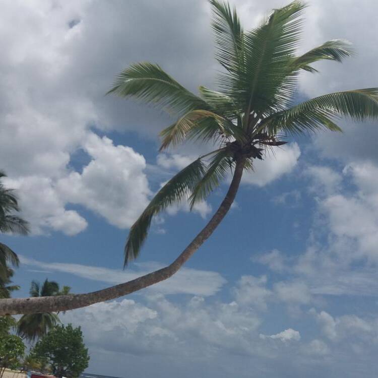 Foto de perfil de Maria Gomez
