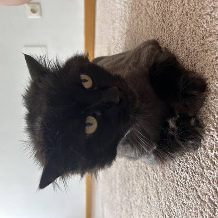 Foto de perfil de Beatriz
