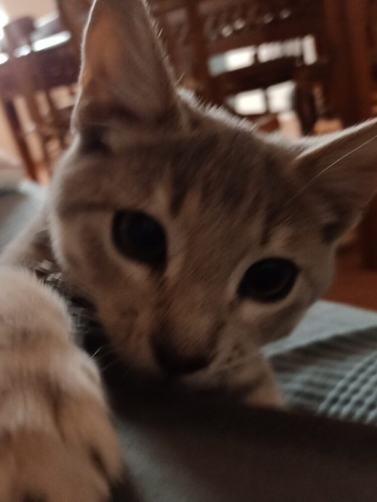 Foto de perfil de Pablo