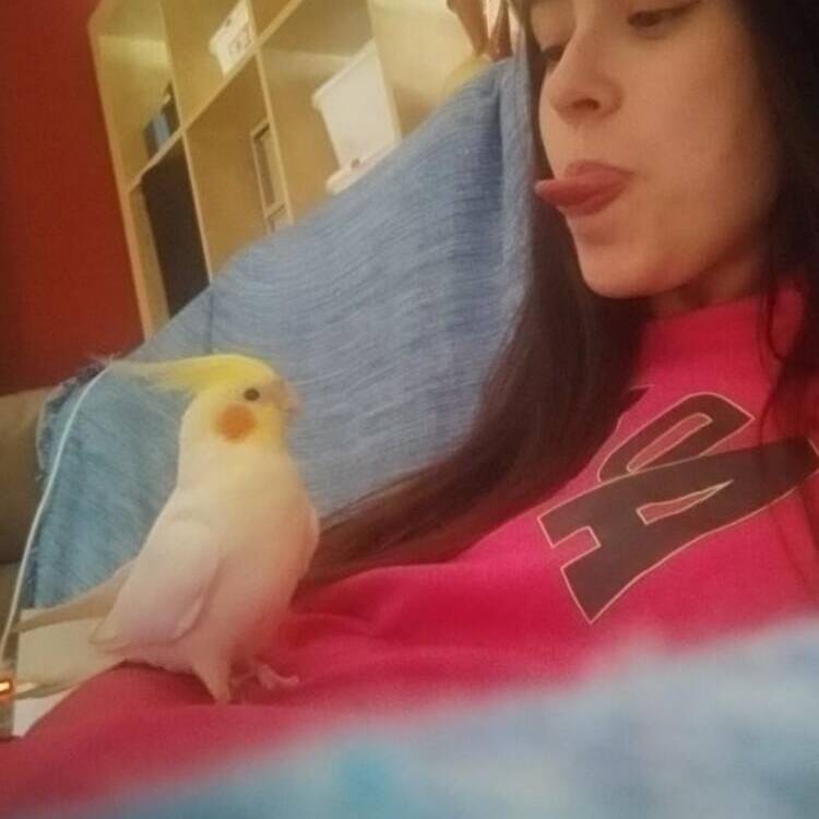 Foto de perfil de Alicia Lopez