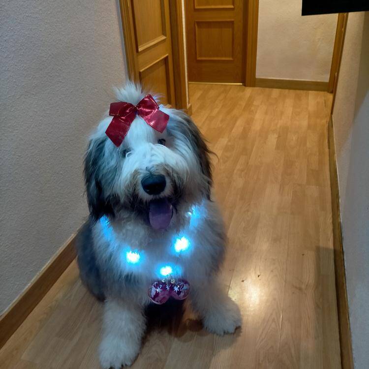 Foto de perfil de maria luisa
