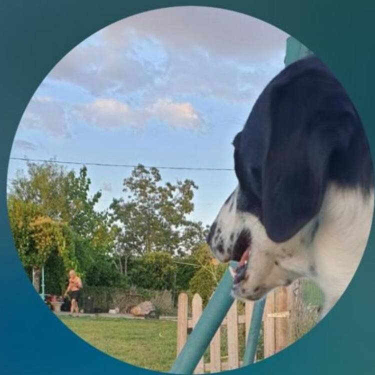 Foto de perfil de jasen