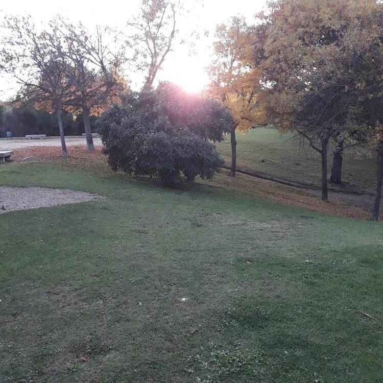 Foto de perfil de Elena