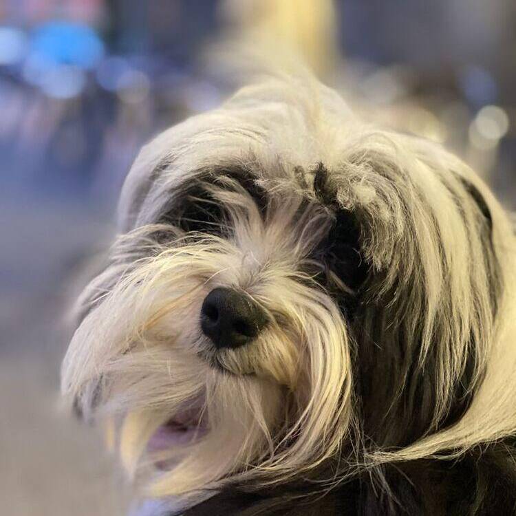 Foto de perfil de manuel