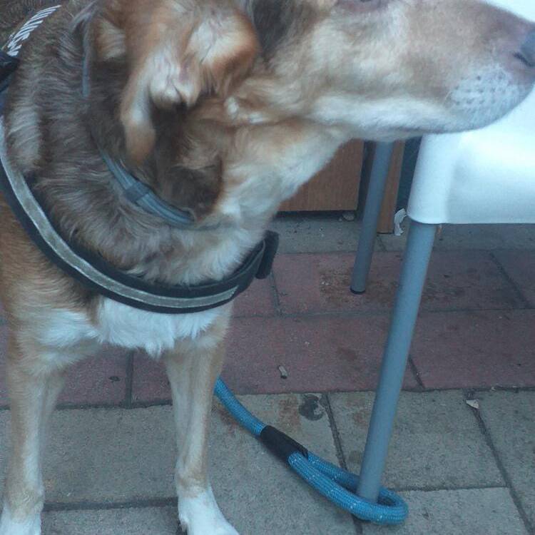 Foto de perfil de esther