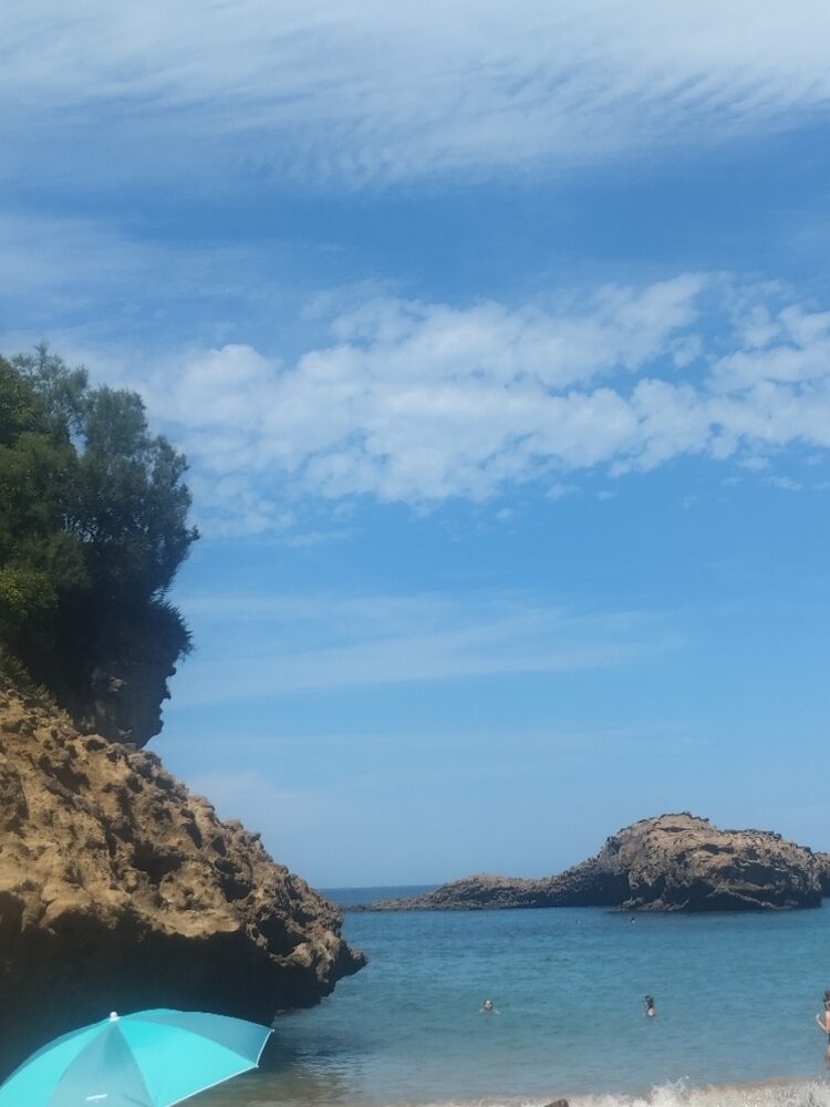 Foto de perfil de Sira