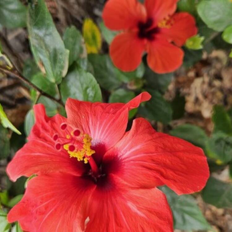 Foto de perfil de Patricia