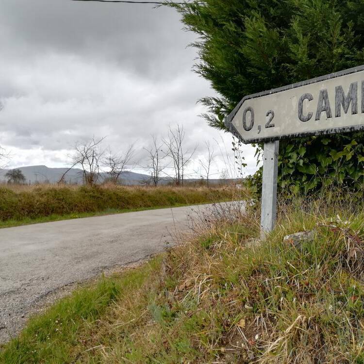 Foto de perfil de Forestal