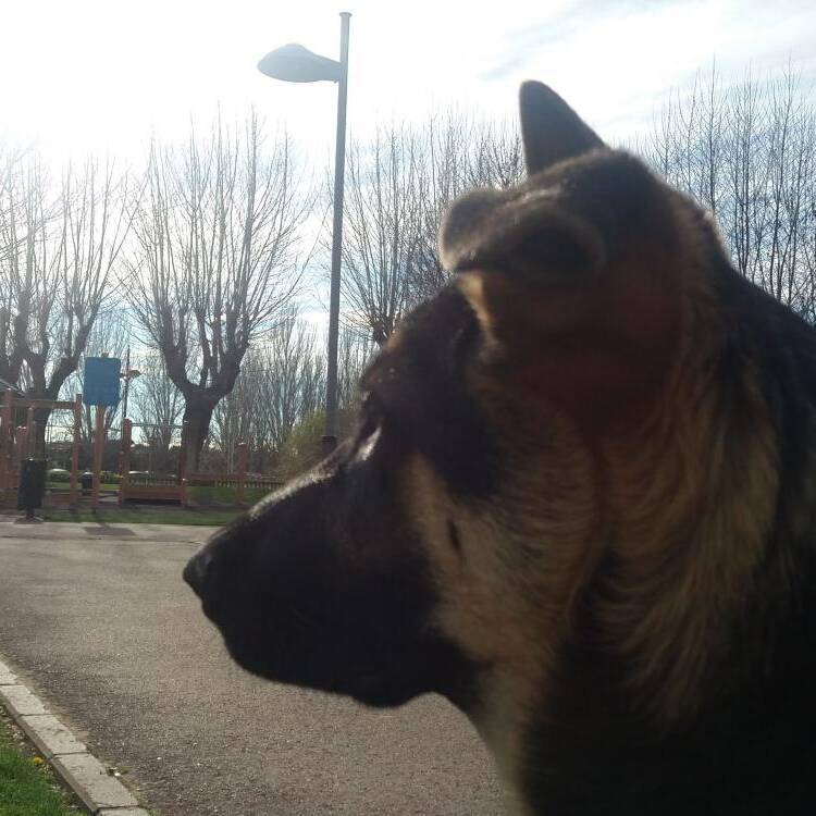 Foto de perfil de Elena