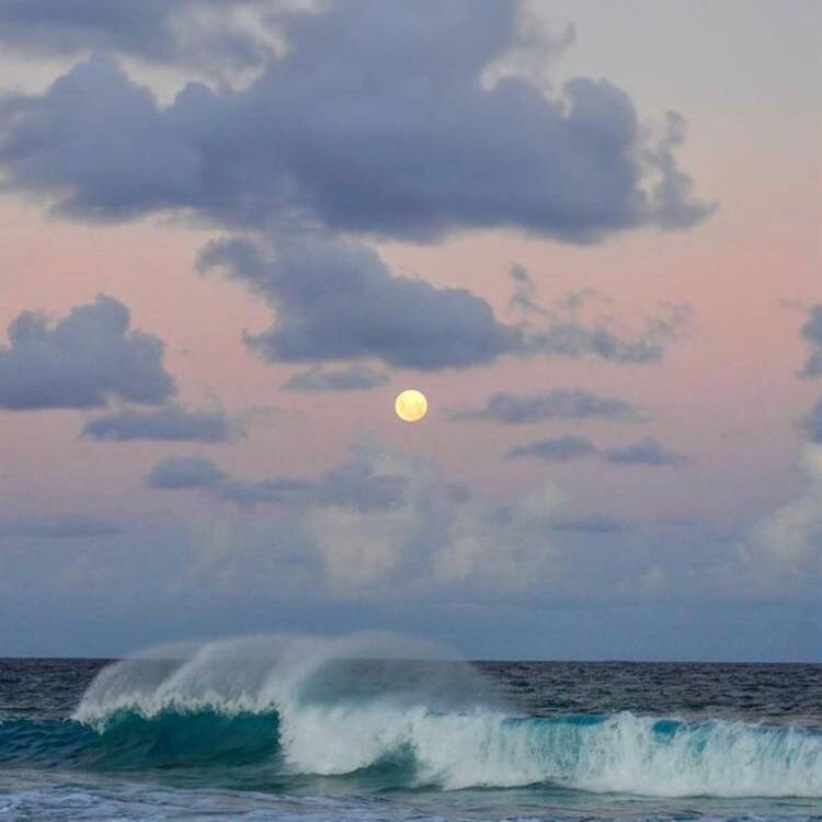 Foto de perfil de Yolanda