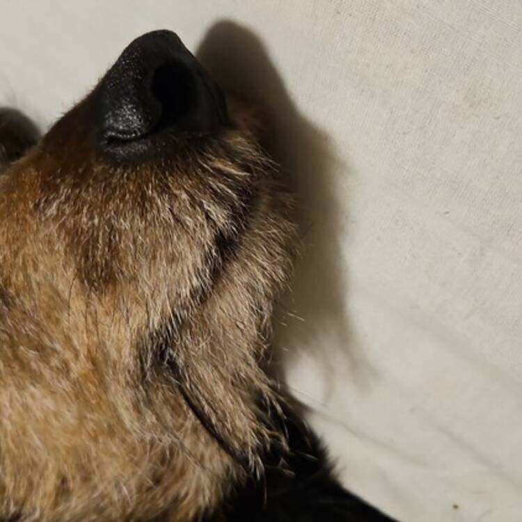 Foto de perfil de Jjjj82