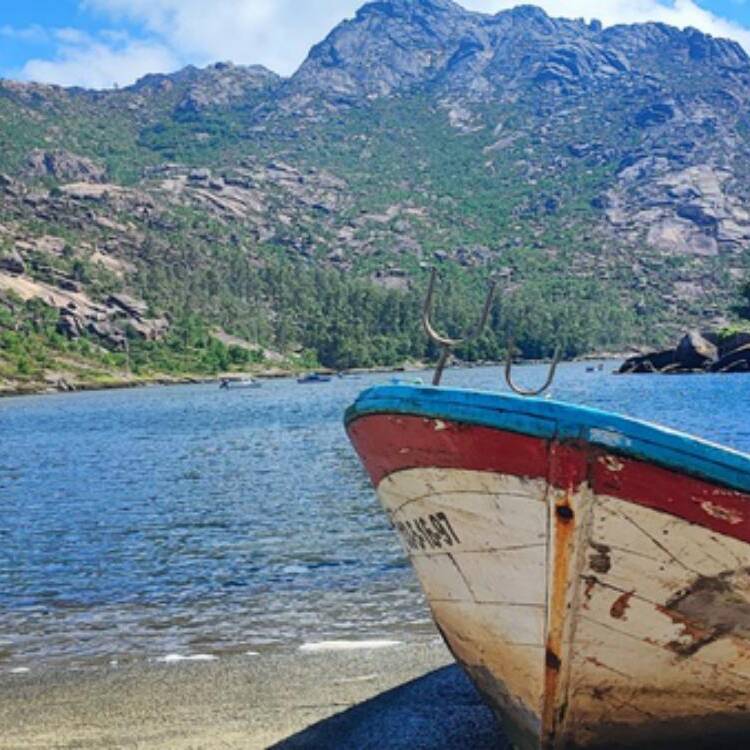 Foto de perfil de Jose Carlos