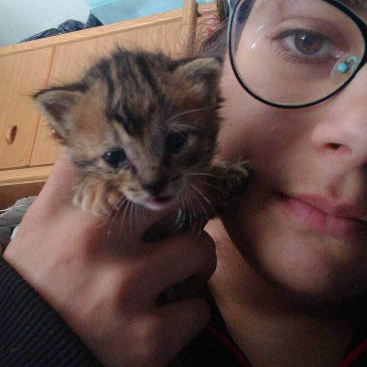 Foto de perfil de natalia
