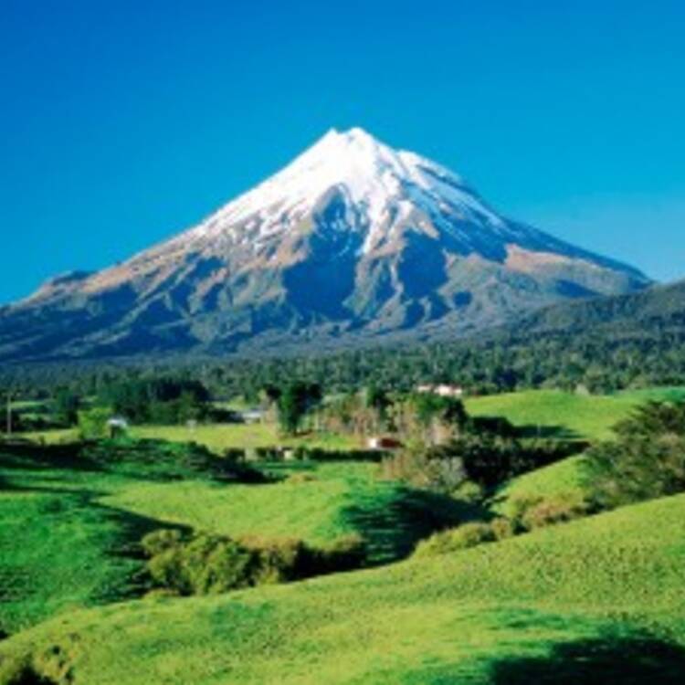 Foto de perfil de Patri