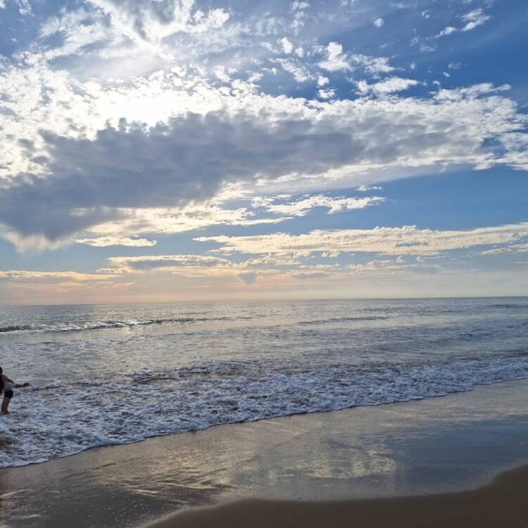 Foto de perfil de jose