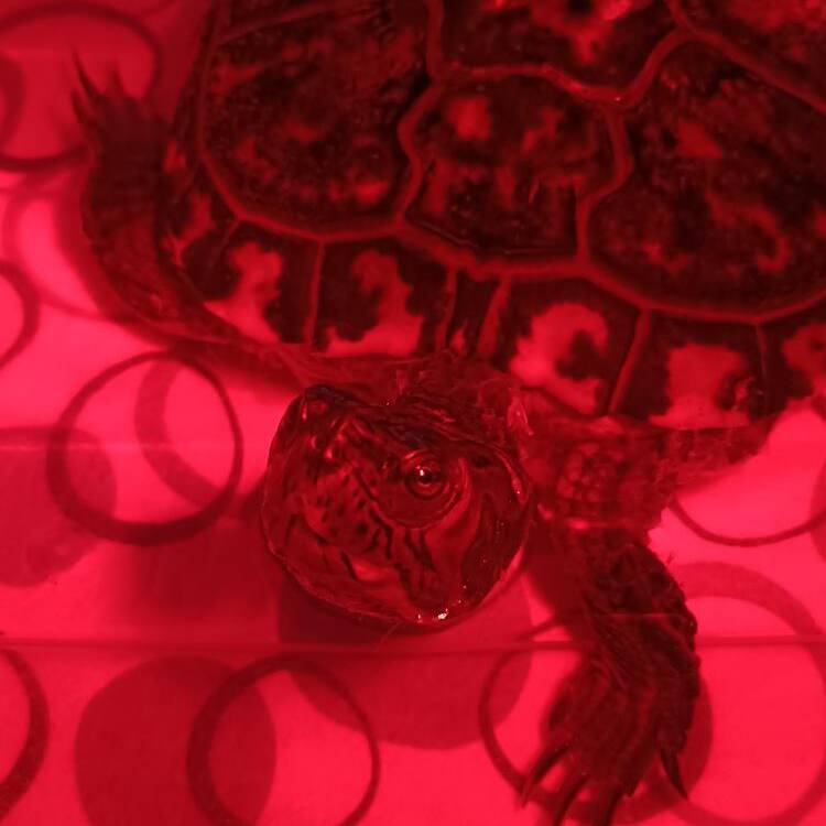 Foto de perfil de Alvaro