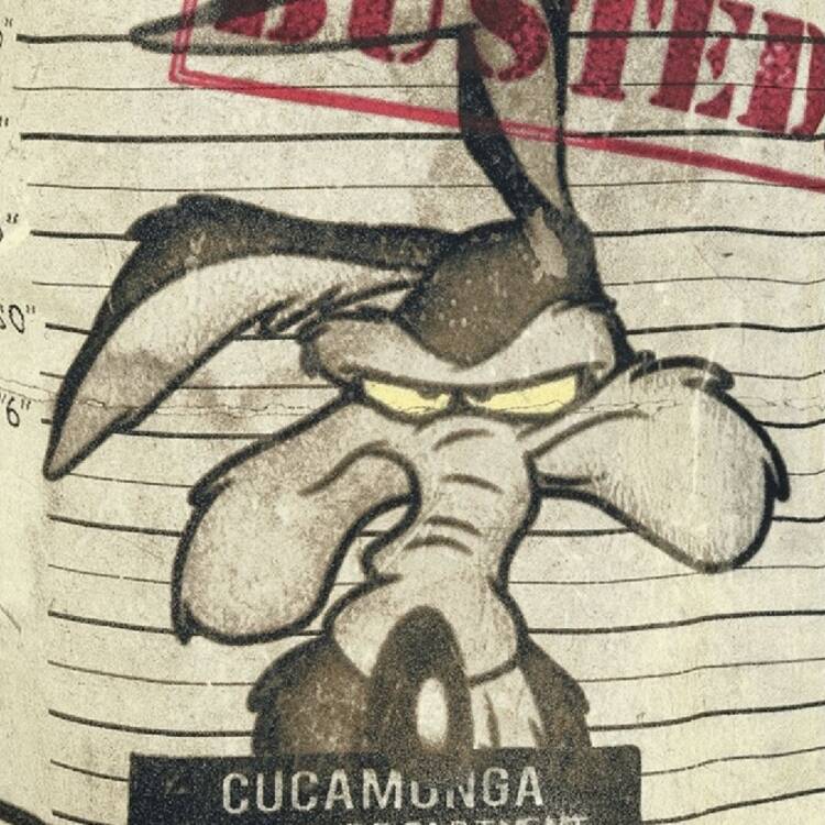 Foto de perfil de Jesus