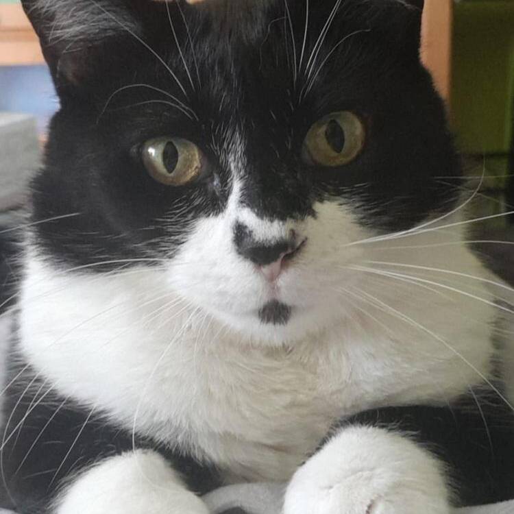 Foto de perfil de Vero