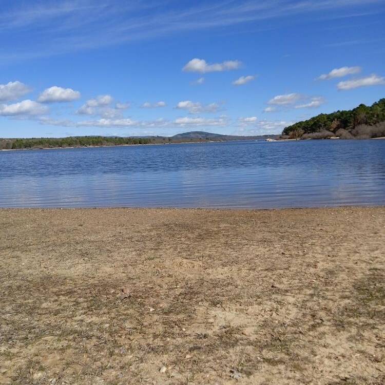 Foto de perfil de Azul