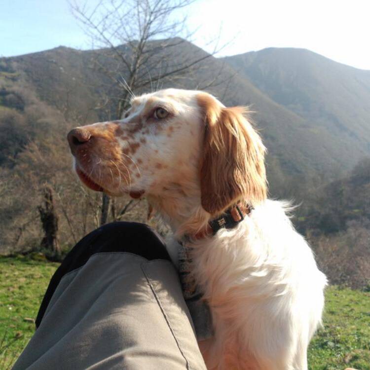 Foto de perfil de Vicente