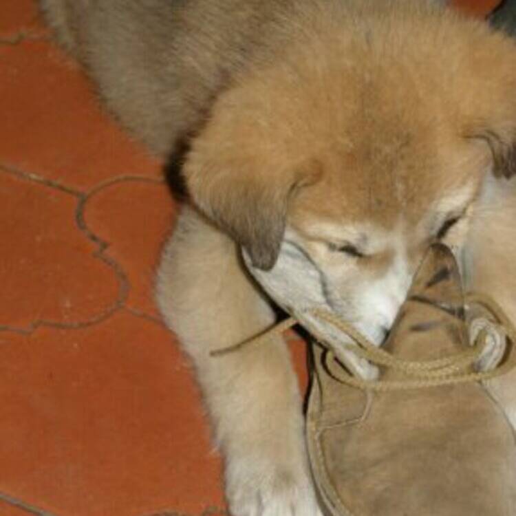 Foto de perfil de Ch