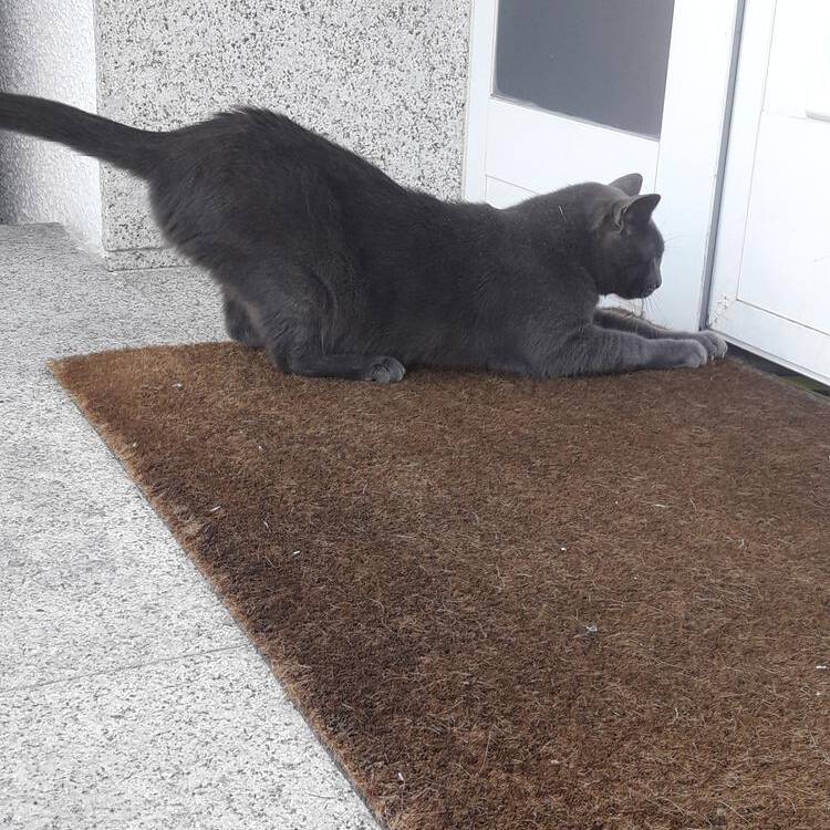 Foto de perfil de Susana