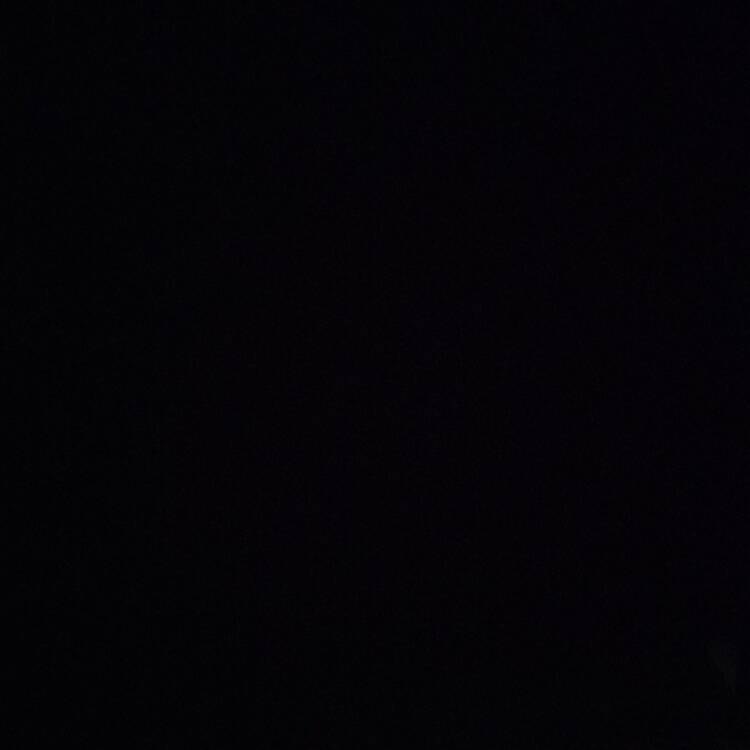 Foto de perfil de Tokio