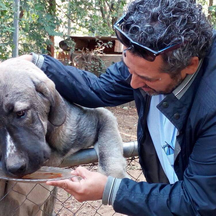 Foto de perfil de Arturo
