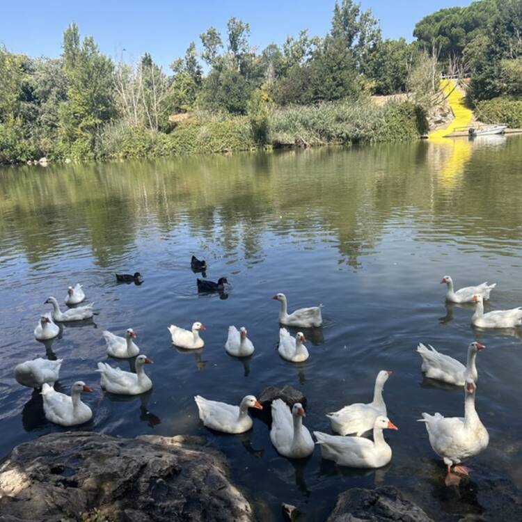 Foto de perfil de Laura