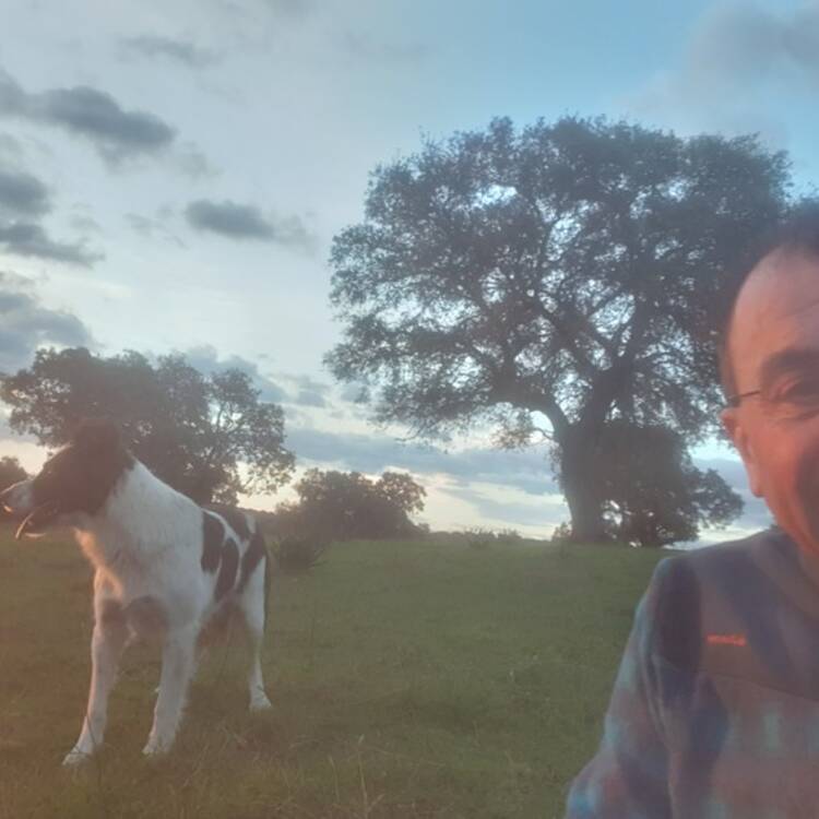Foto de perfil de Carlos