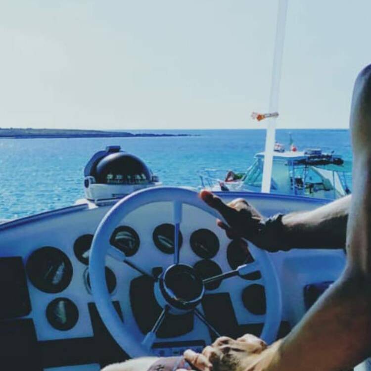 Foto de perfil de marc