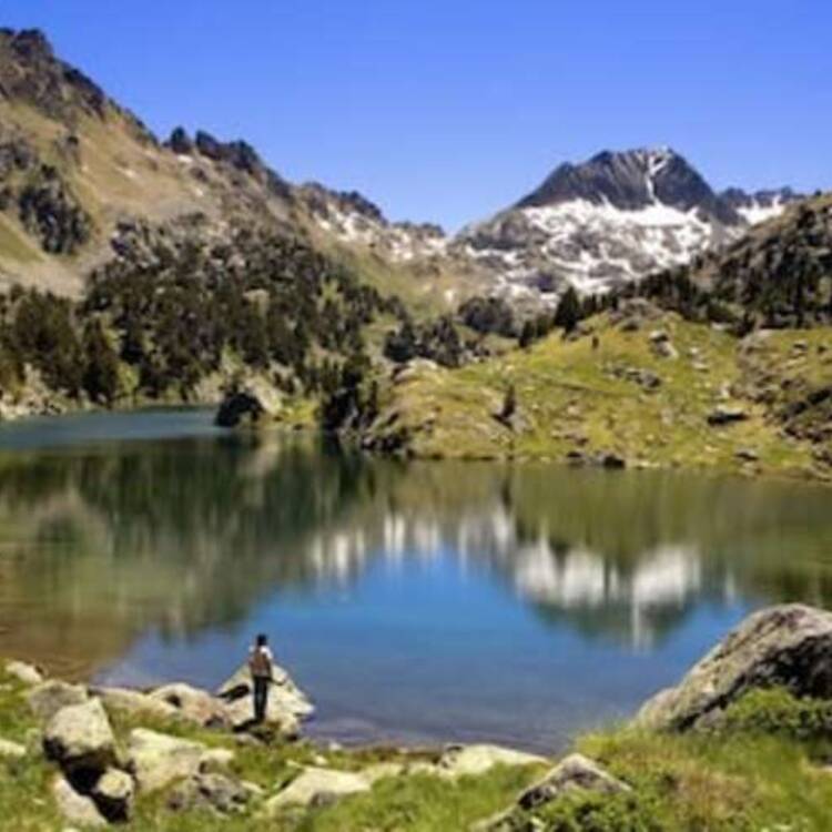 Foto de perfil de Kavick