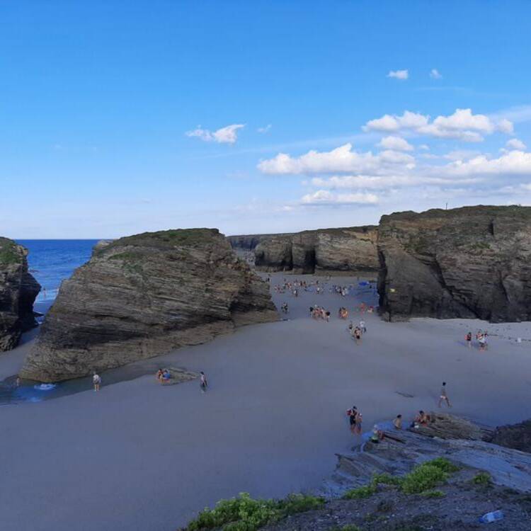 Foto de perfil de Veronica