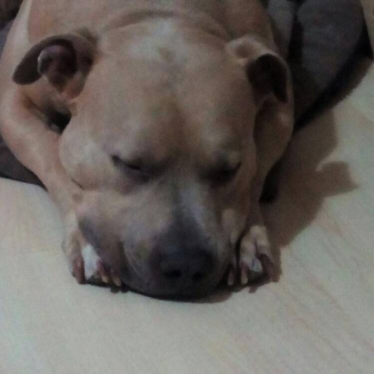 Foto de perfil de Mario
