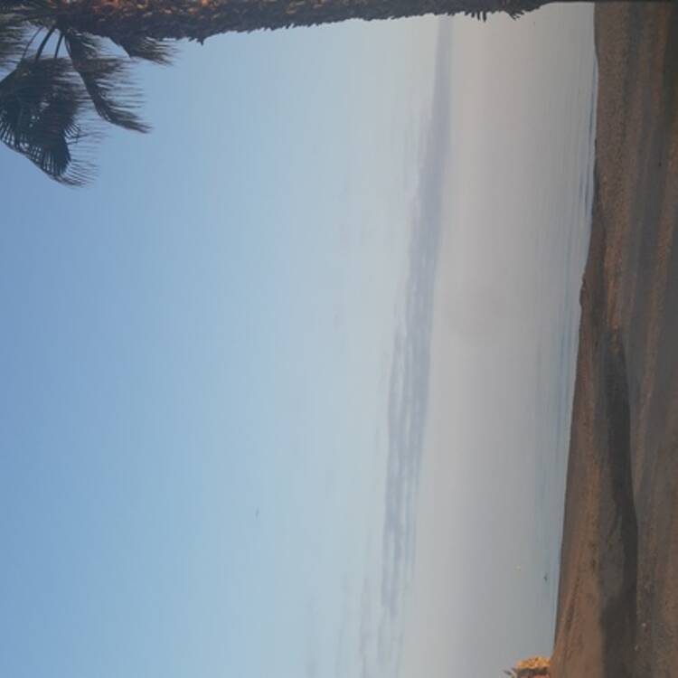 Foto de perfil de Luna
